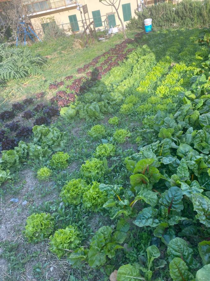 فيلا Agriturismo A Ca Du Cappellan إمبيريا المظهر الخارجي الصورة